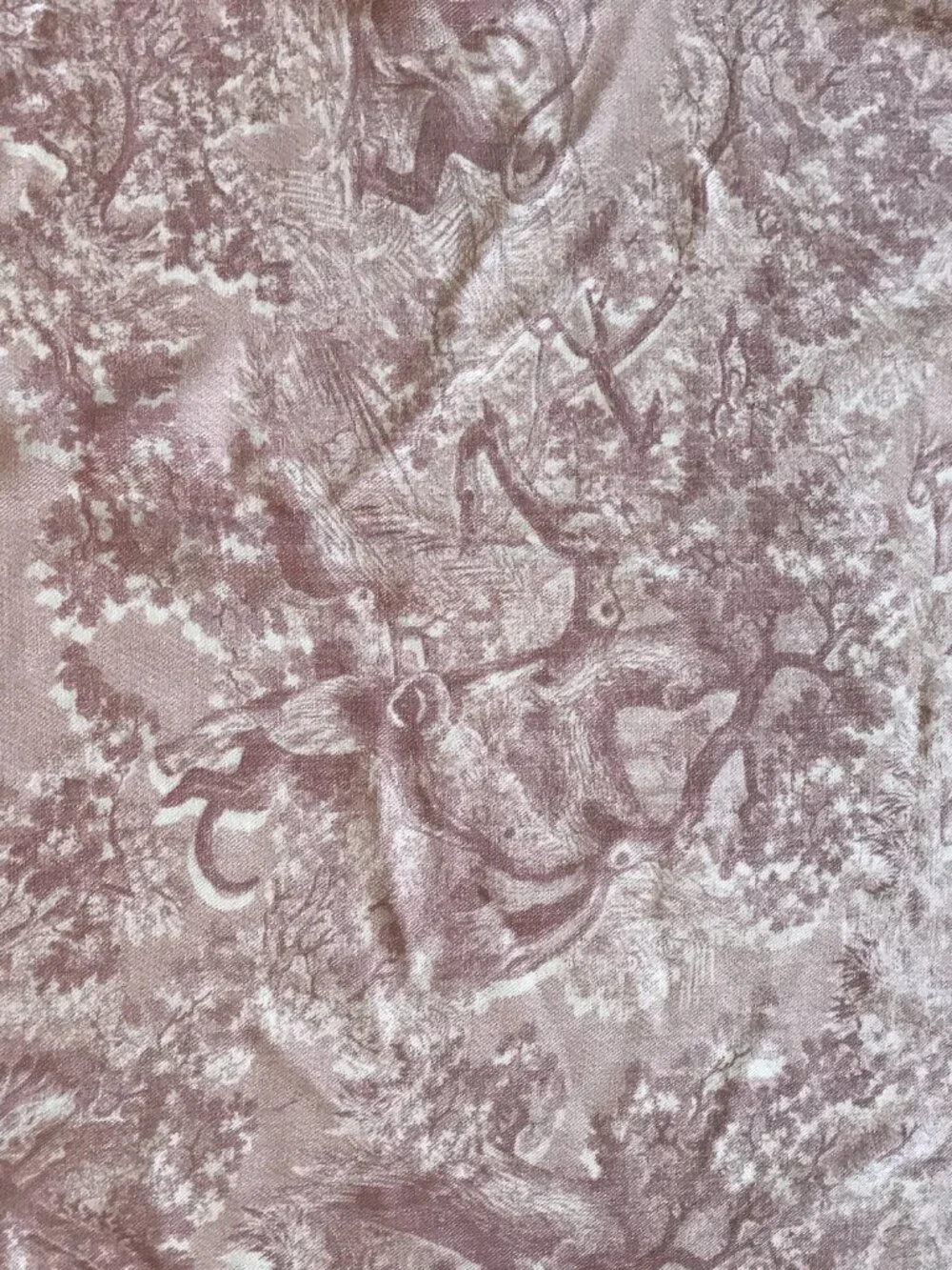 Christian Dior Rose des Vents Toile de Jouy Sauvage Shawl Scarf Wrap Wool Silk